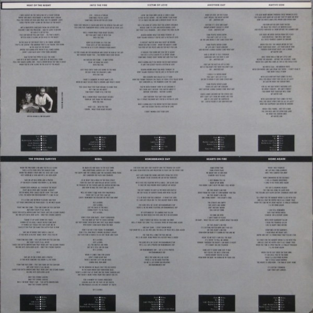 Bryan Adams - Into The Fire (LP)