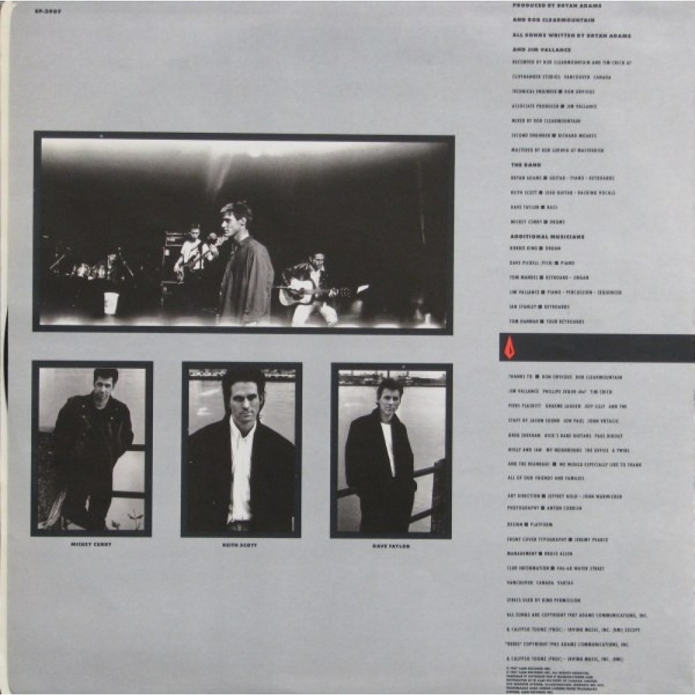 Bryan Adams - Into The Fire (LP)