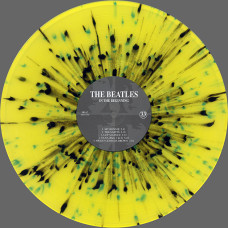 The Beatles - In The Beginning | Limited Edition Colored Vinyl (LP)