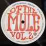 Gov`t Mule, Stoned Side Of The Mule Vol.1&2 (2 LP)