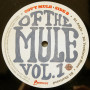 Gov`t Mule, Stoned Side Of The Mule Vol.1&2 (2 LP)