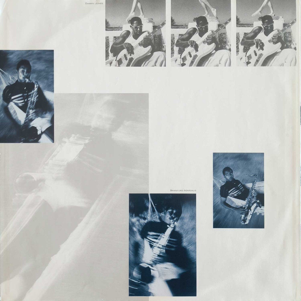 Sting - The Dream Of The Blue Turtles  (LP)