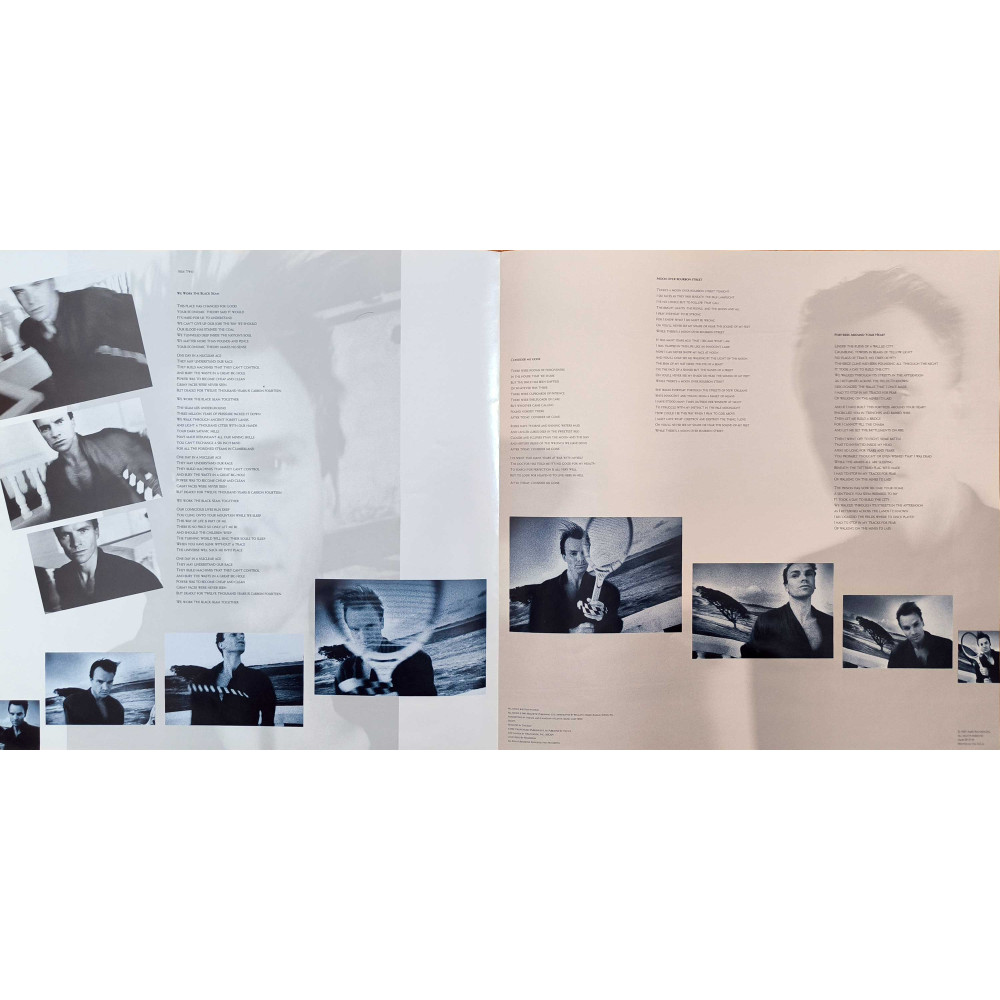 Sting - The Dream Of The Blue Turtles  (LP)
