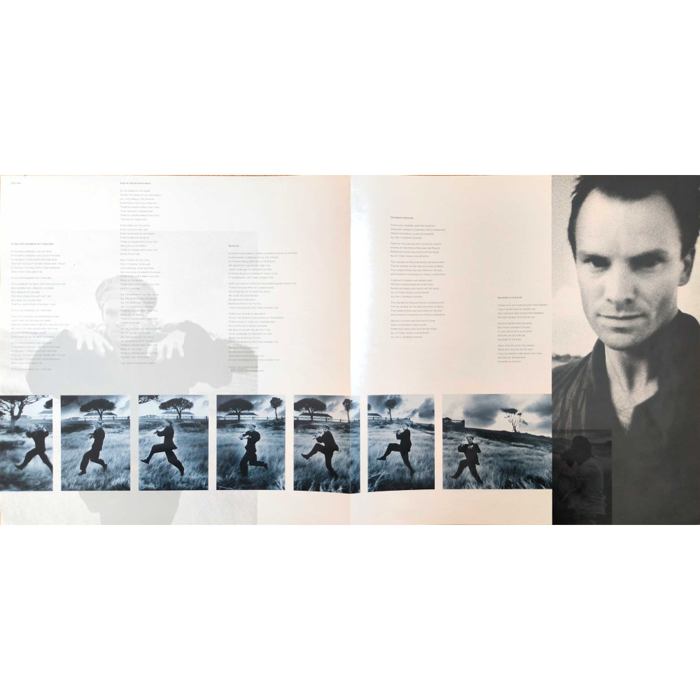 Sting - The Dream Of The Blue Turtles  (LP)