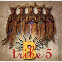 B-Tribe - Btribe 5 (CD)