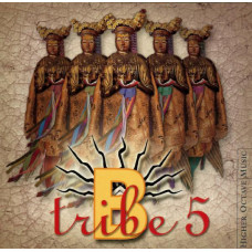 B-Tribe - Btribe 5 (CD)