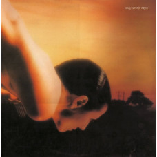 Porcupine Tree, On The Sunday Of Life (1991)