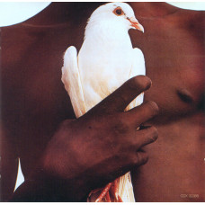 Santana - The Very Best Of Santana (CD)