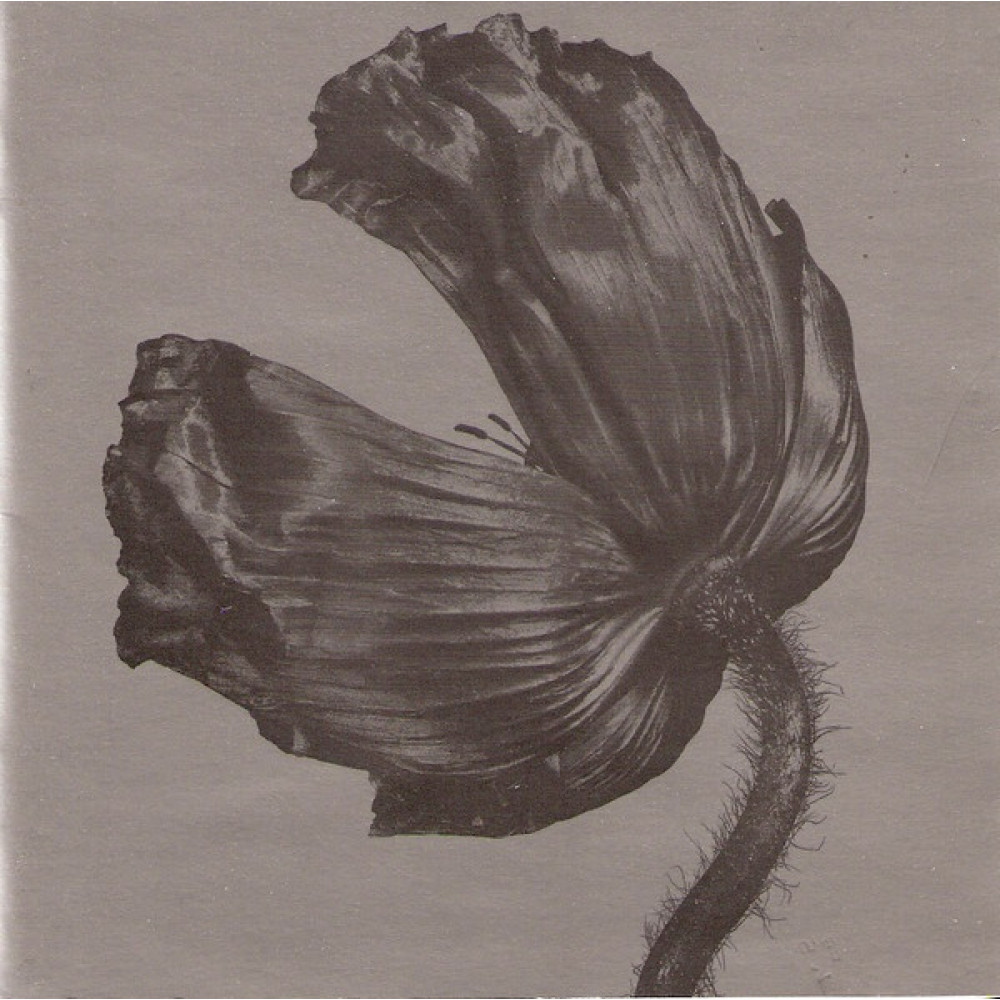 Pet Shop Boys - Release (CD)