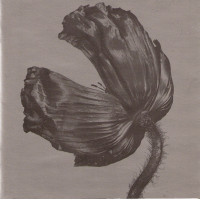 Pet Shop Boys - Release (CD)