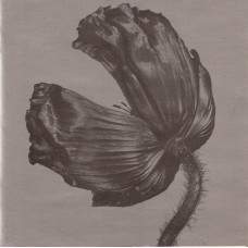 Pet Shop Boys - Release (CD)