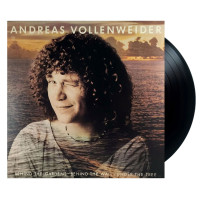 Andreas Vollenweider, Behind The Gardens… (LP)