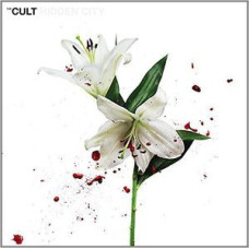 Cult - Hidden City (CD)