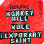 Gov`t Mule, Gov`t Mule (1995)