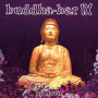 Various - Buddha Bar - IX By Ravin (CD)