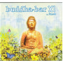 Various - Buddha Bar - Xi By Ravin (CD)