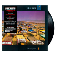 Pink Floyd - A Momentary Lapse Of Reason (LP)