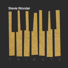 Сборник, Stevie Wonder Tribute