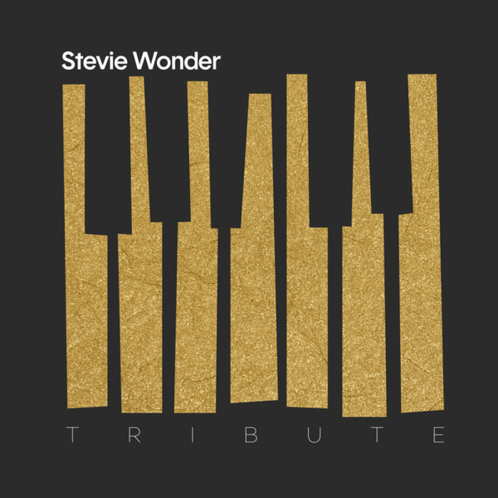Various - Stevie Wonder Tribute (CD)