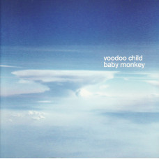 Voodoo Child - Baby Monkey (CD)