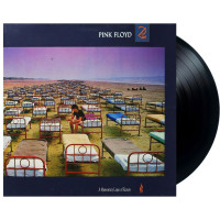 Pink Floyd - A Momentary Lapse Of Reason (G/f) (LP)
