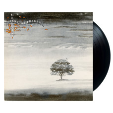 Genesis, Wind & Wuthering (Ins.) (LP)