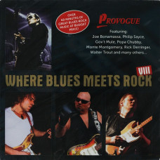 Сборник, Where Blues Meets Rock VIII