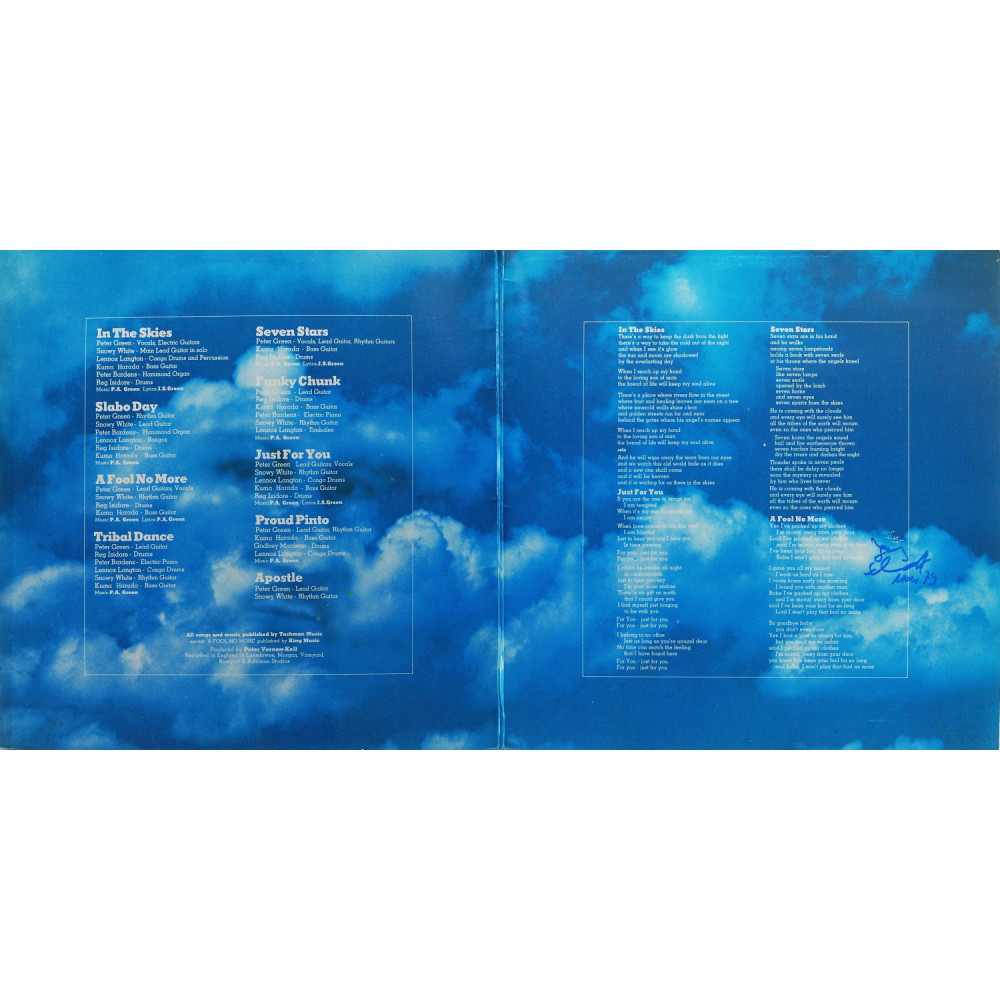 Peter Green - In The Skies (1St Press) (LP)