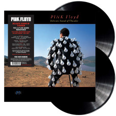 Pink Floyd - Delicate Sound Of Thunder (2LP) Pink Floyd - Delicate Sound Of Thunder (2LP)