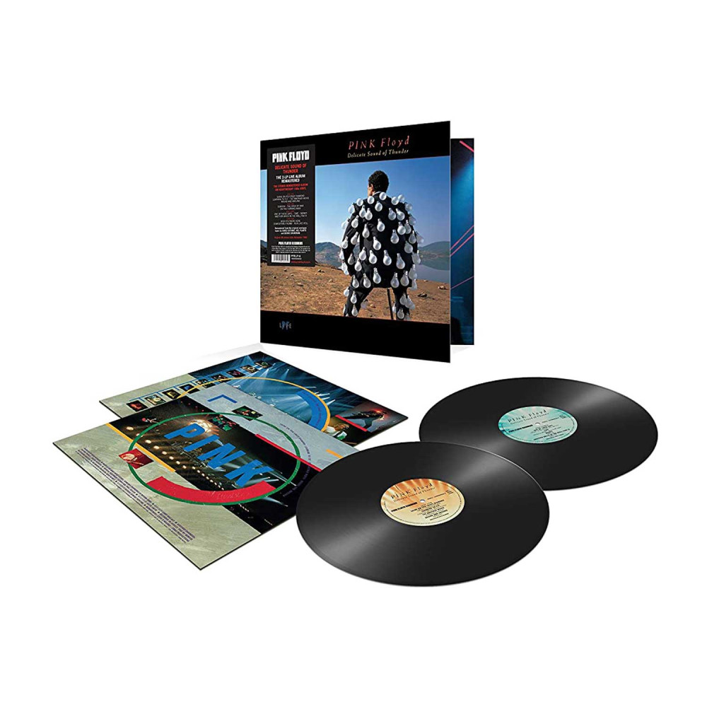 Pink Floyd - Delicate Sound Of Thunder (2LP)