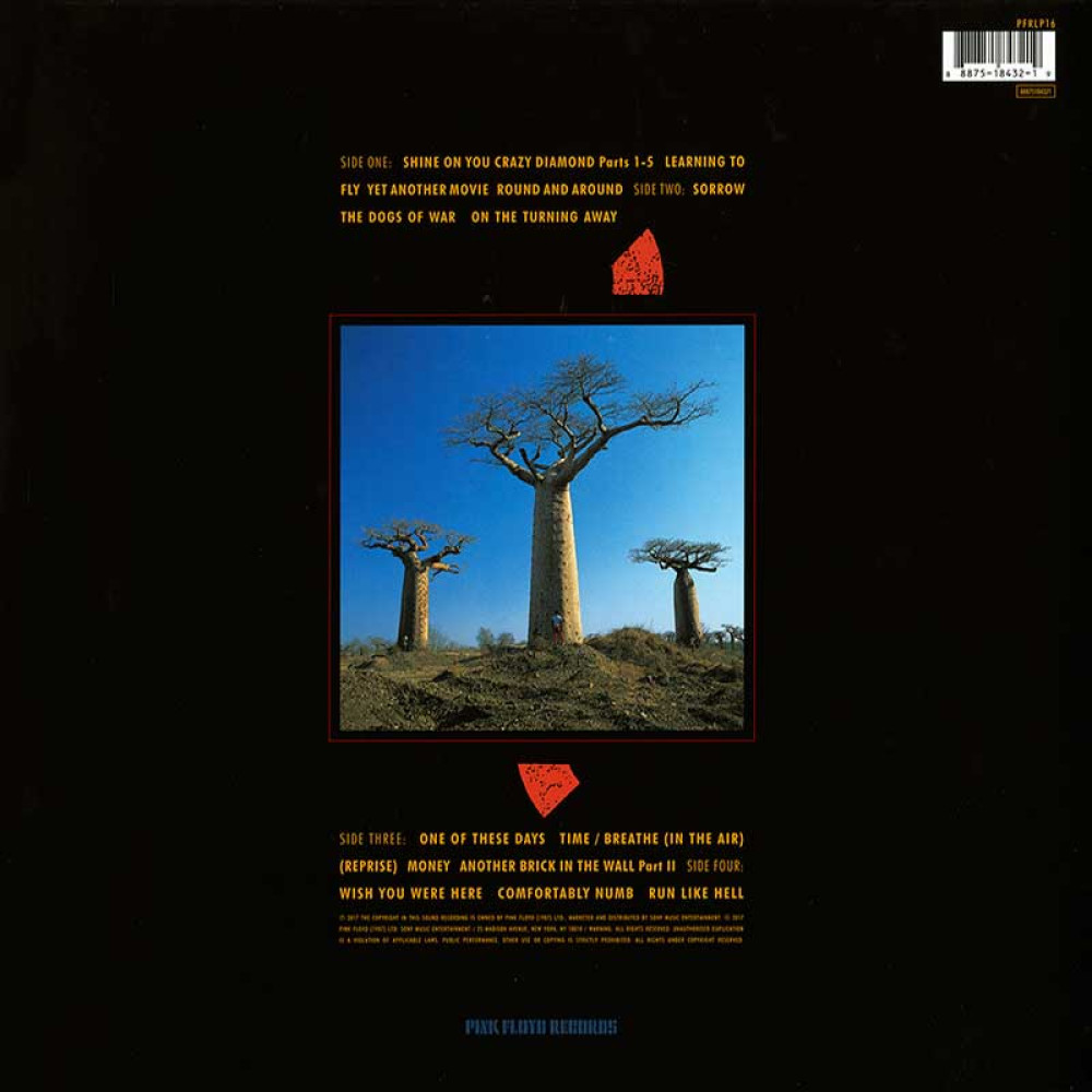 Pink Floyd - Delicate Sound Of Thunder (2LP)