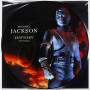 Michael Jackson - History Continues | Picture Vinyl (2LP)