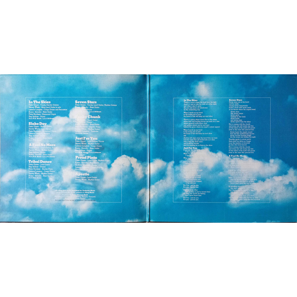 Peter Green - In The Skies (LP)