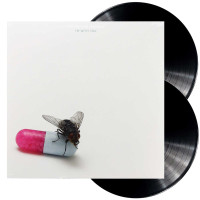 Red Hot Chili Peppers - I`m With You (2LP)