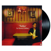 Jamie Cullum - Taller (LP)