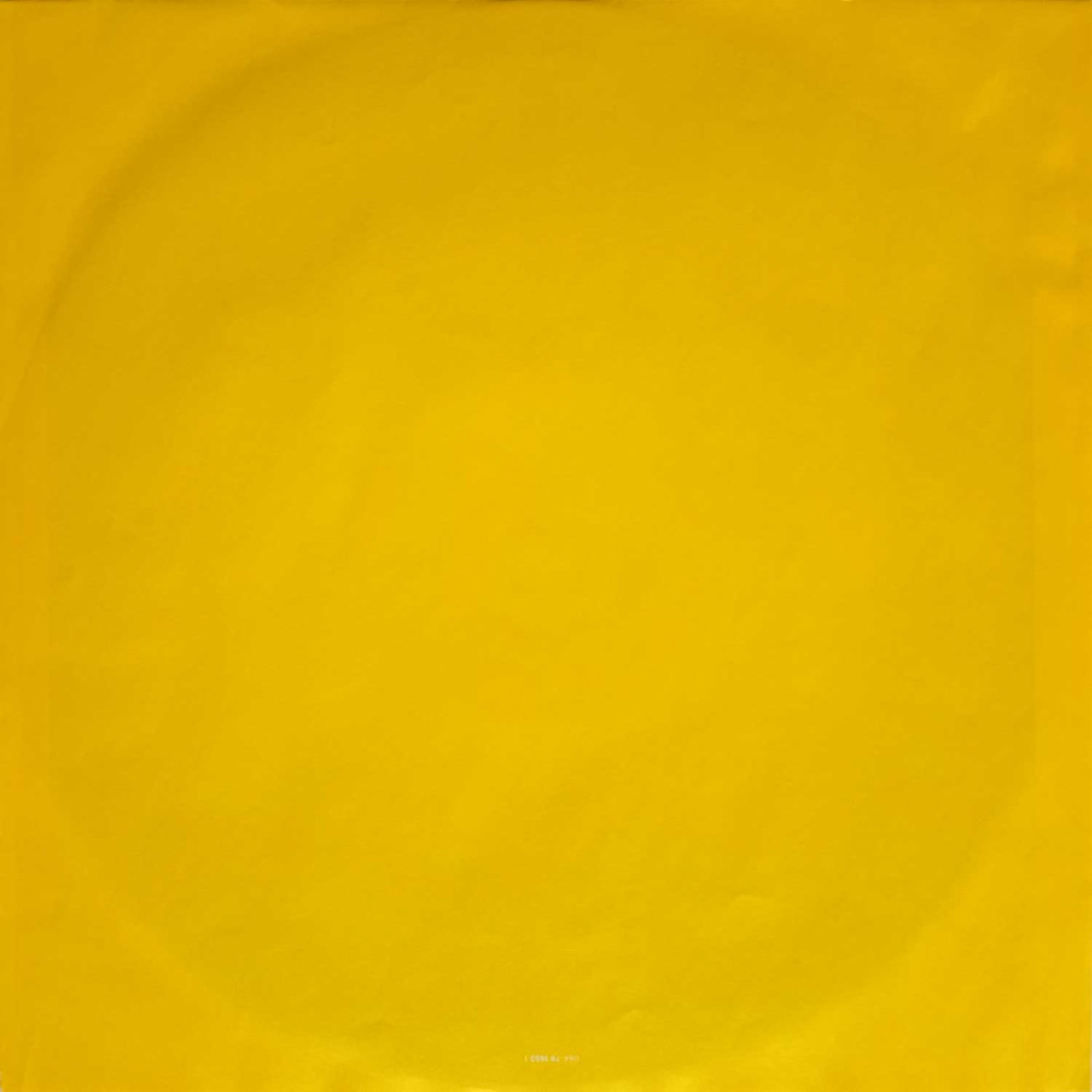 Paul Mccartney - Flowers In The Dirt  (LP)