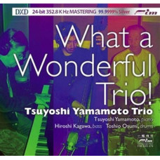 Tsuyoshi Yamamoto Trio, What A Wonderful Trio