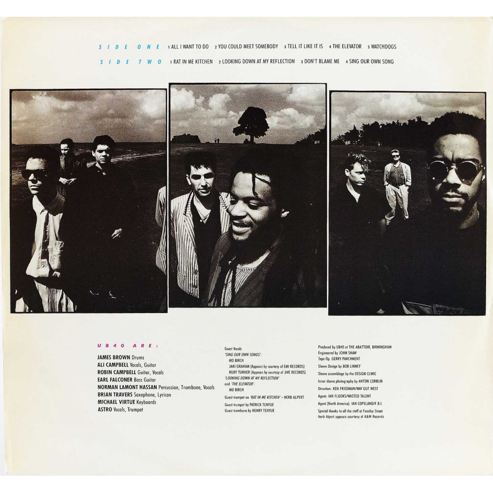 UB40, Rat In The Kitchen (Ins.) (LP)