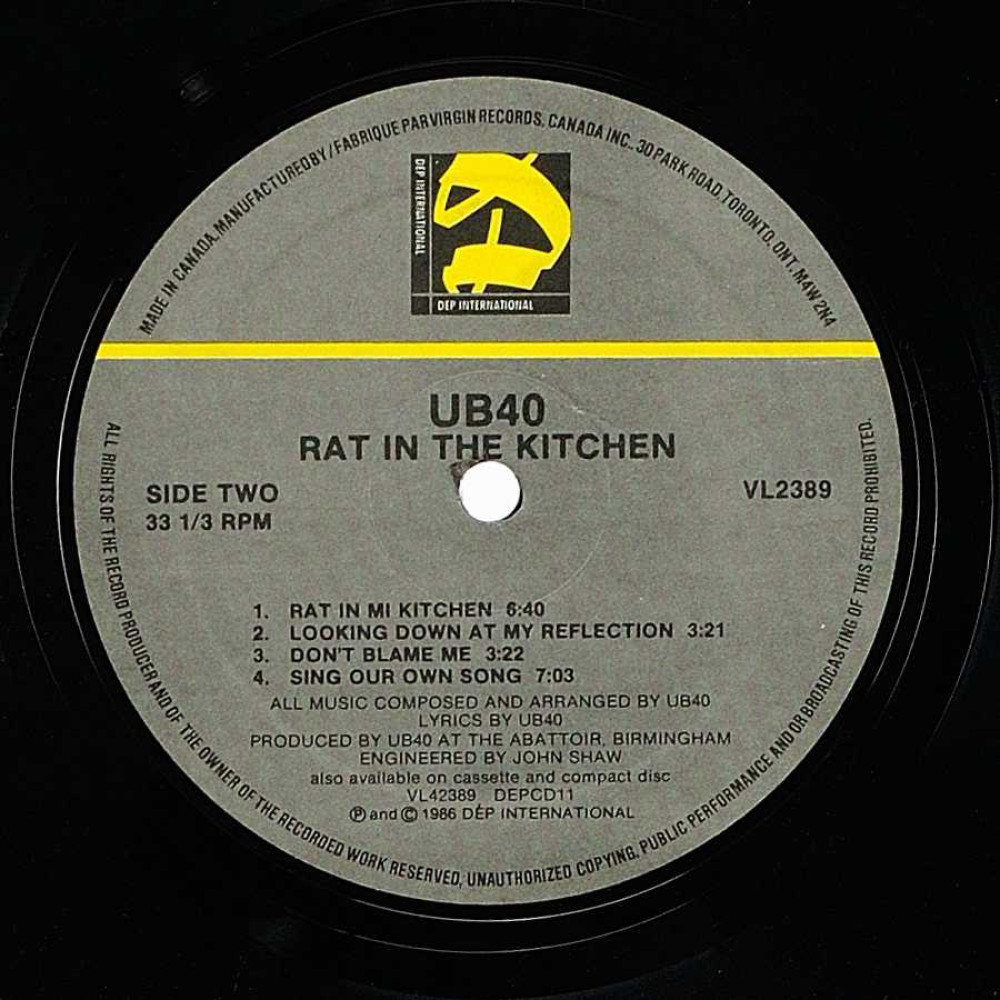 UB40, Rat In The Kitchen (Ins.) (LP)