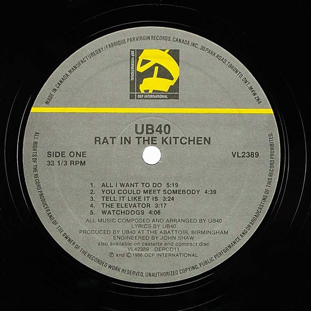 UB40, Rat In The Kitchen (Ins.) (LP)