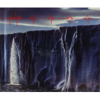 Pearl Jam - Gigaton (CD)