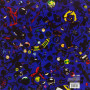 Cocteau Twins - Four-Calendar Café (LP)