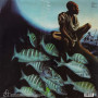 Herbie Hancock - Crossings (LP)