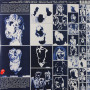 The Rolling Stones - Emotional Rescue (LP)