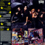 Extreme, Extreme II : Pornograffitti (LP)