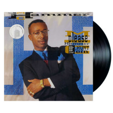 MC Hammer - Please Hammer Don't Hurt 'Em (LP)