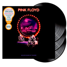 Pink Floyd - Delicate Sound Of Thunder | Box Set (3 LP)