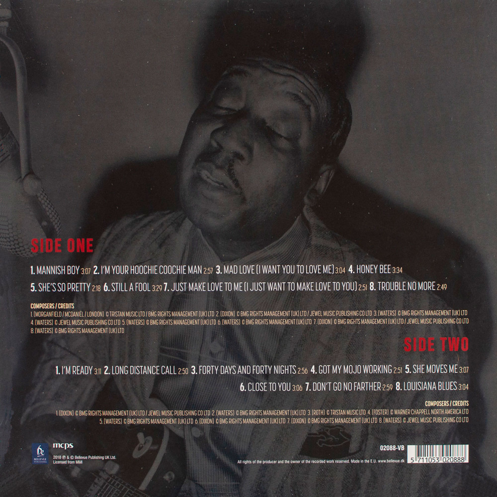 Muddy Waters - Hoochie Coochie Man (LP)