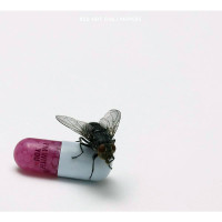 Red Hot Chili Peppers - I'm With You (CD)
