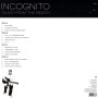 Incognito, Tales From The Beach (2 LP)